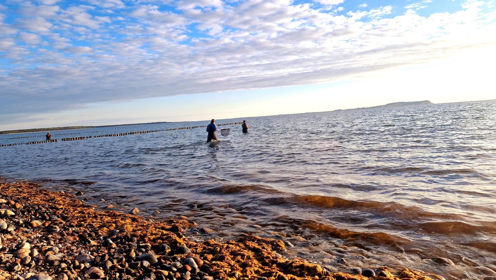 ,,Großer Tag am Meer" Appartement 13.2 Dranske Buitenkant foto